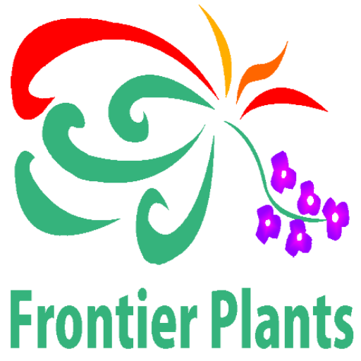 Frontier Plants タイ バンコク の植物 買い付け旅行記 チャトチャックマーケット編 買い物編 Frontier Plants フロンティアプランツ