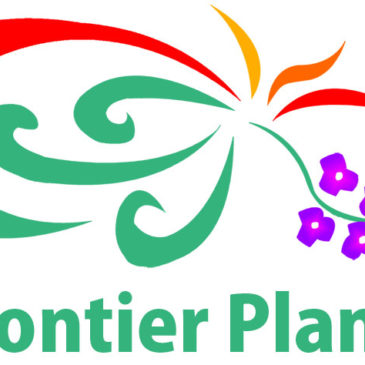 【Frontier Plants】オンラインストア７月８日チランジア入荷予定のお知らせ【エアープランツ】