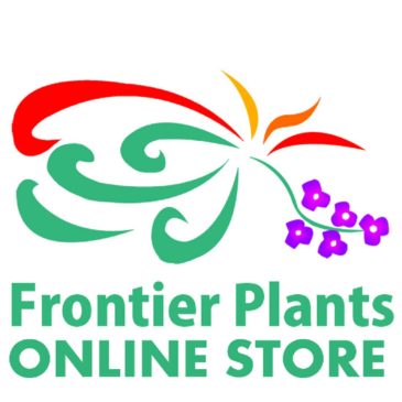 【Frontier Plants】オンラインストア1月21日販売予定の約50種類の販売品種と価格一覧【エアプランツ　チランジア】